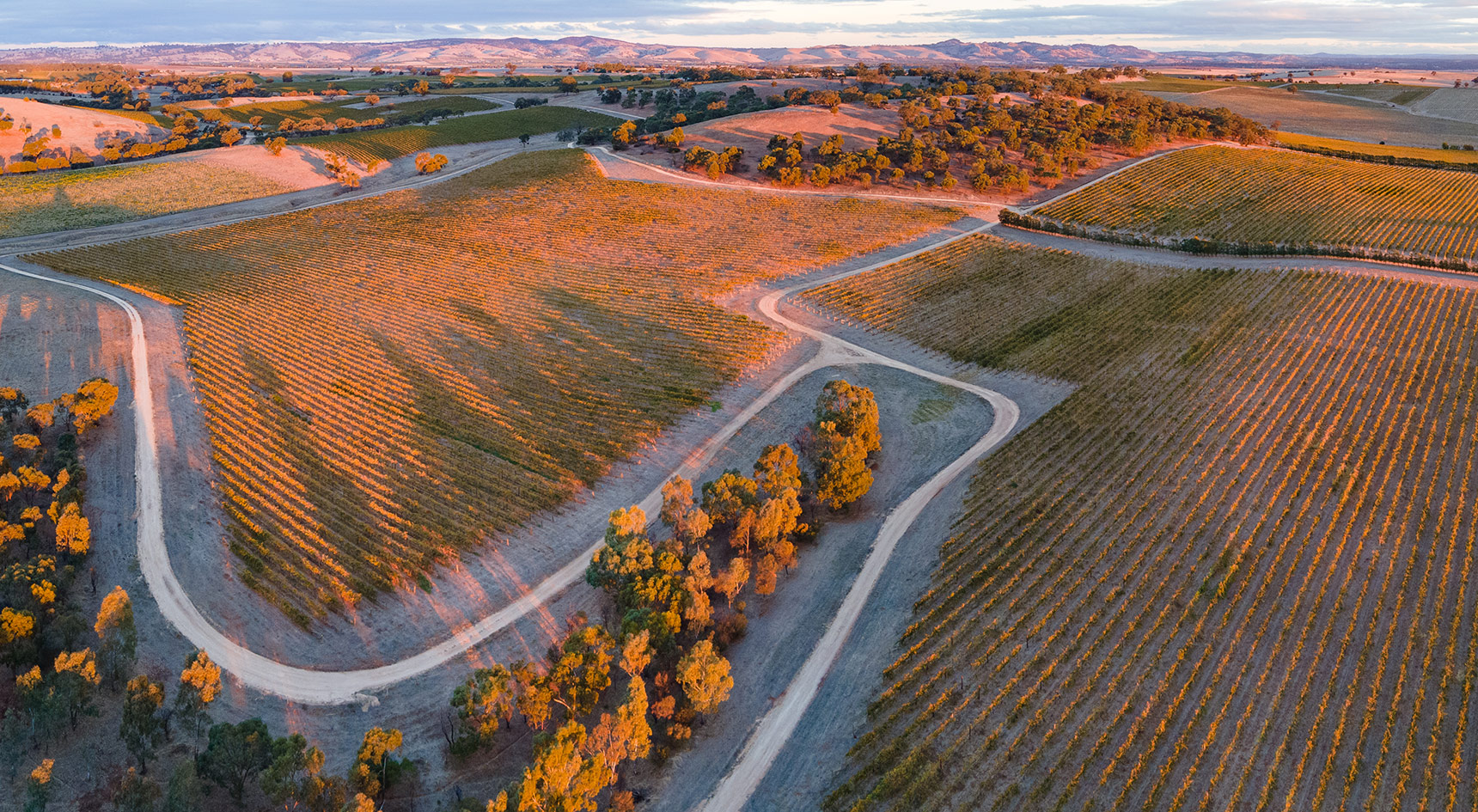 Aerial view of the Barossa in autumn