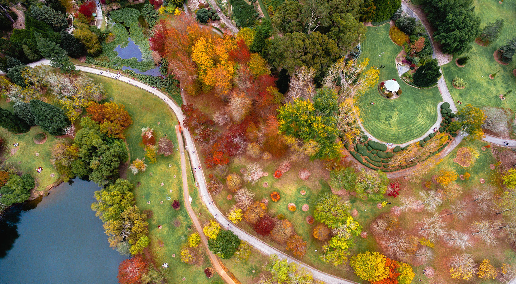 Mt Lofty Botanic Garden aerial view of autumn colours