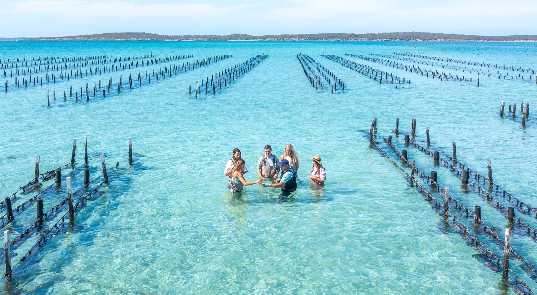 Group in blue water eating oysters