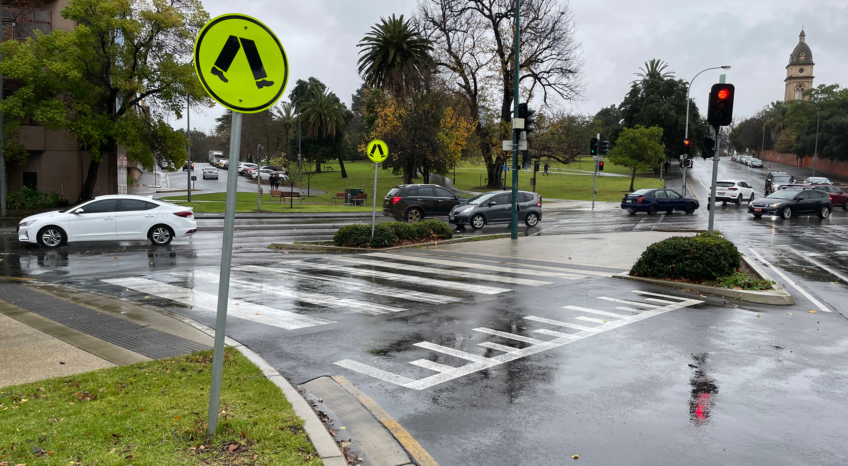 Picture of a wombat crossing at a slip lane in North Adelaide