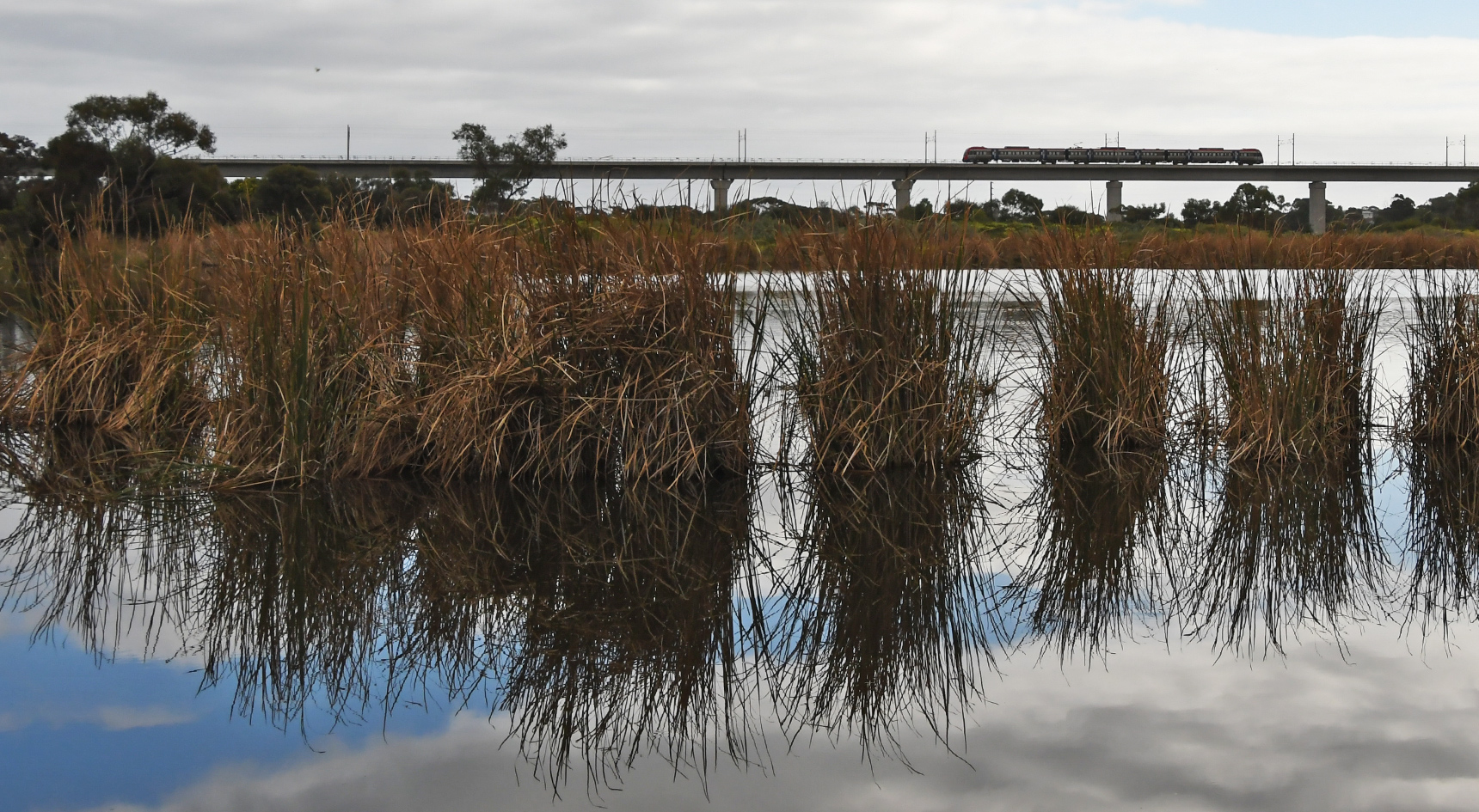 Train line at the back with the Onkaparinga River in the foreground