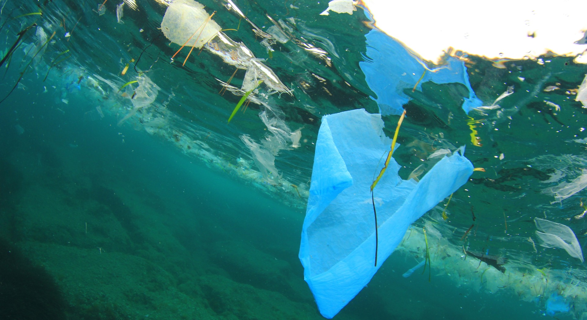 Plastic bag in the sea