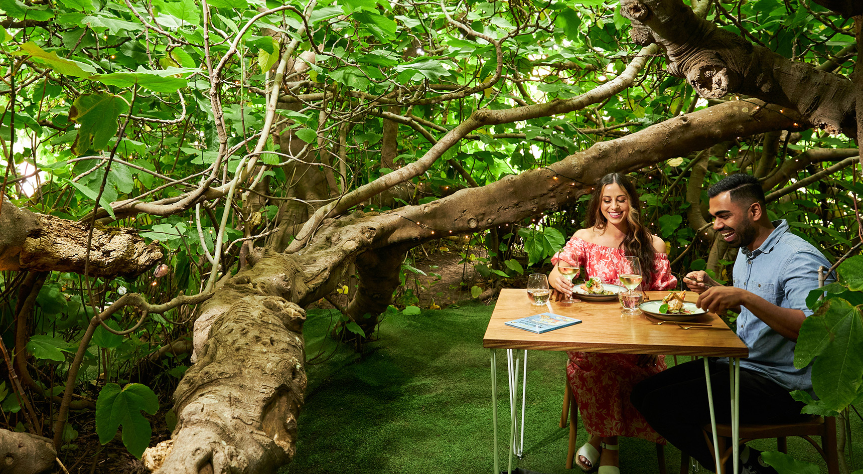 Couple dine under the branches of a fig tree.