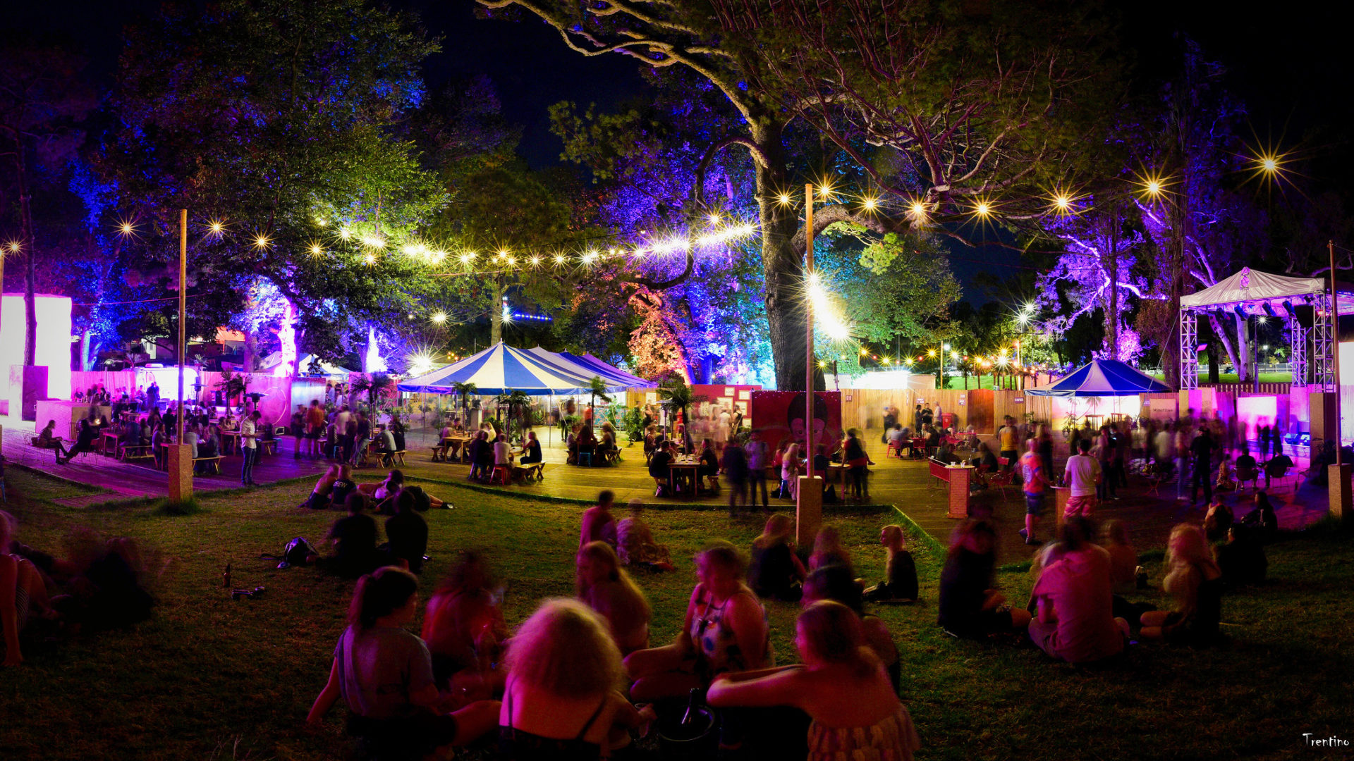 Fairy lights and large crowd in outdoor venue.