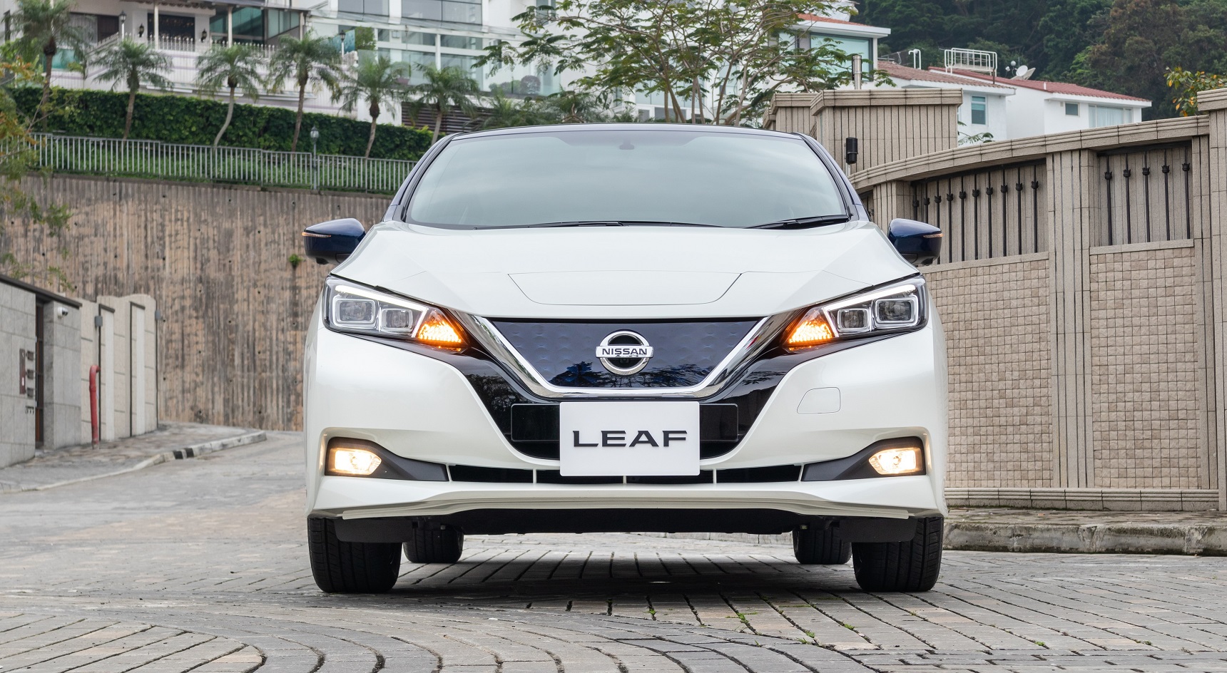 A 2019 Nissan Leaf. Image: iStock