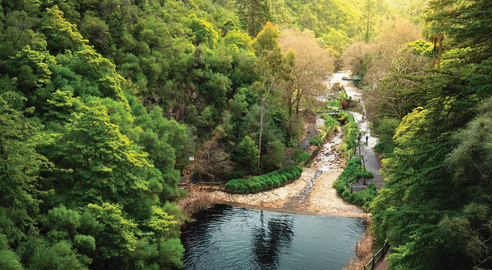 Waterfall Gully