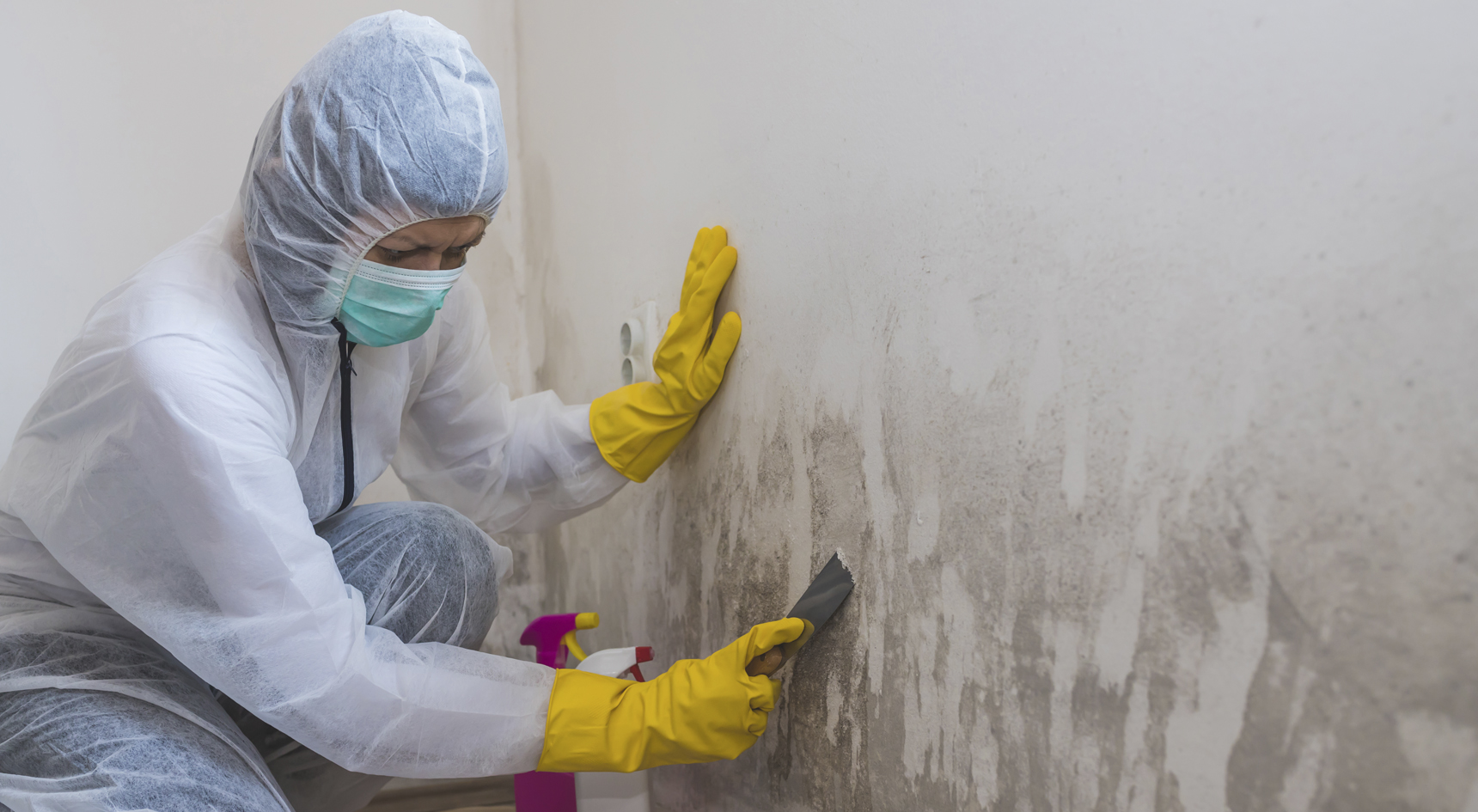 A lady wearing PPE and cleaning mould off the wall.