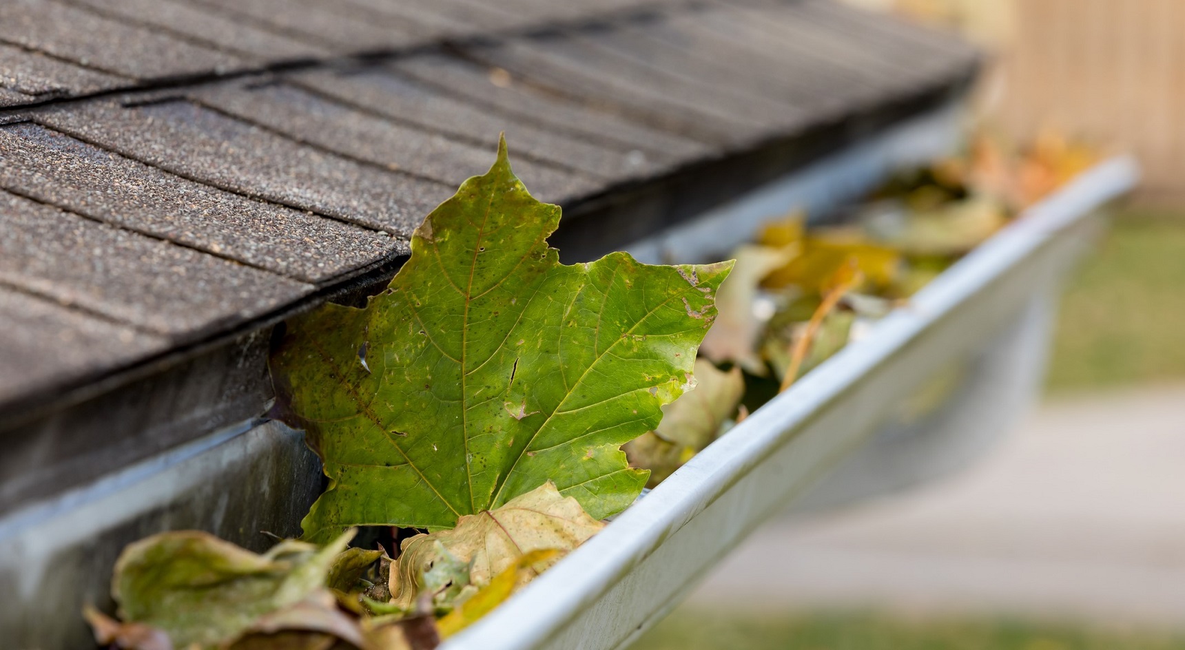 Gutters clogged with leaf litter can cause water to build up. Image: Getty