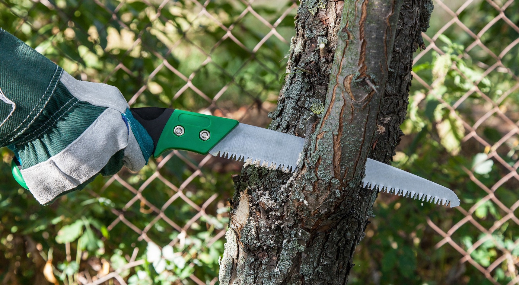 It’s best to have a qualified arborist inspect any tree with ominous-looking, overhanging branches. Image: Getty