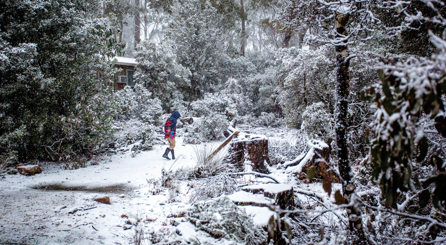 Snow at Discovery Parks Cradle Mountain.