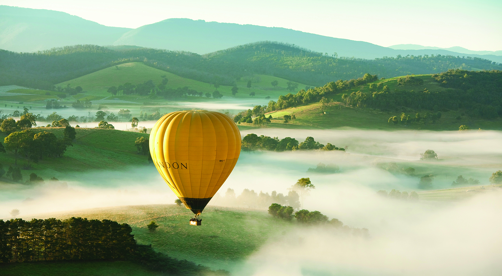 Yellow hot air balloon over the Yarra Valley in Victoria