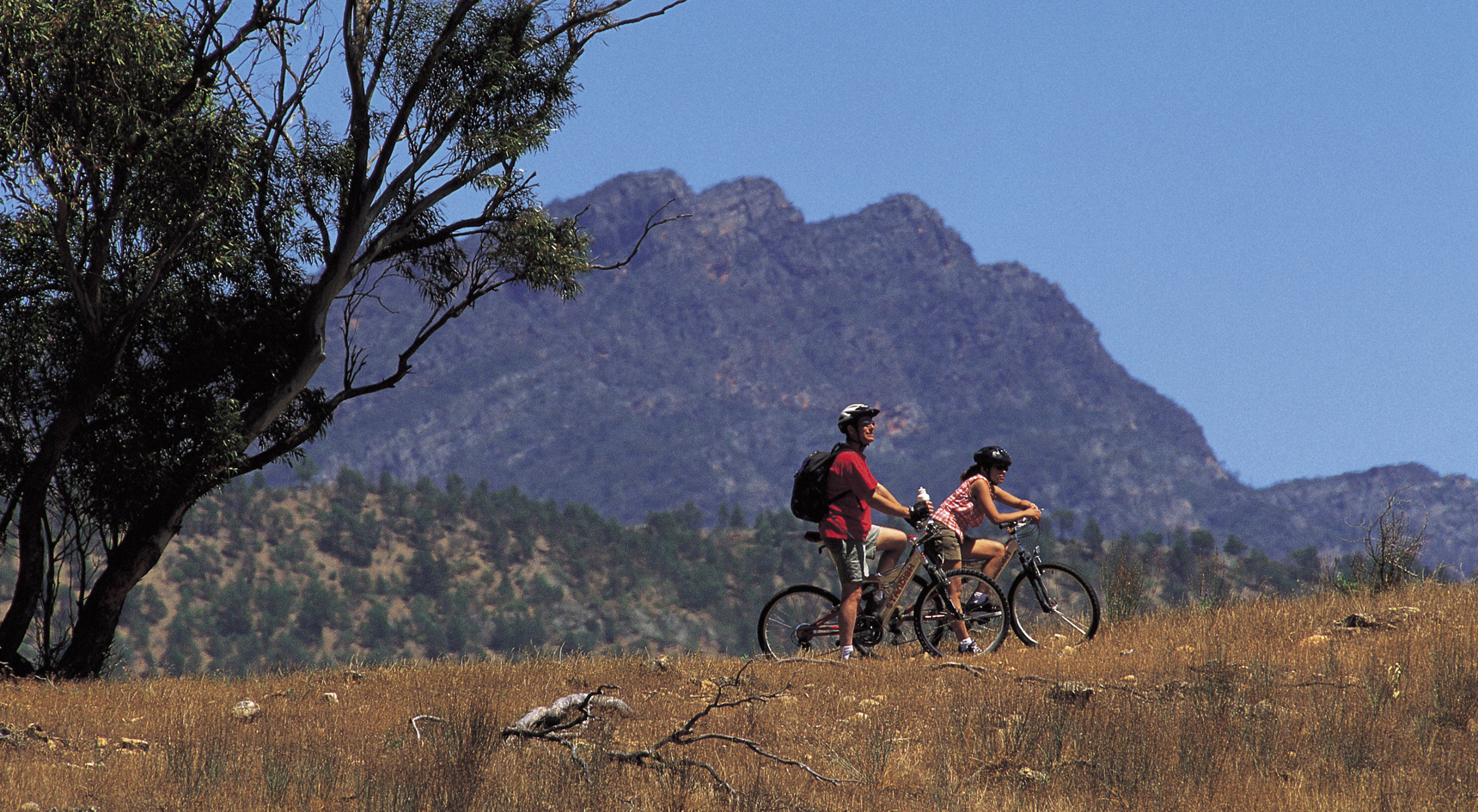 Cycling Wilpena Pound