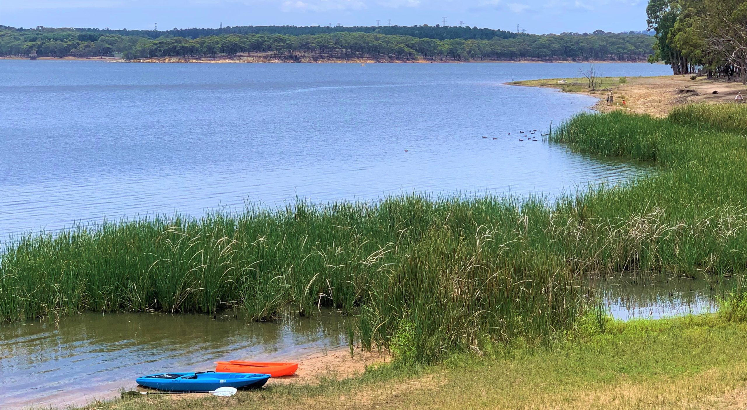 Kayaks on the shore of Happy Valley Reservoir