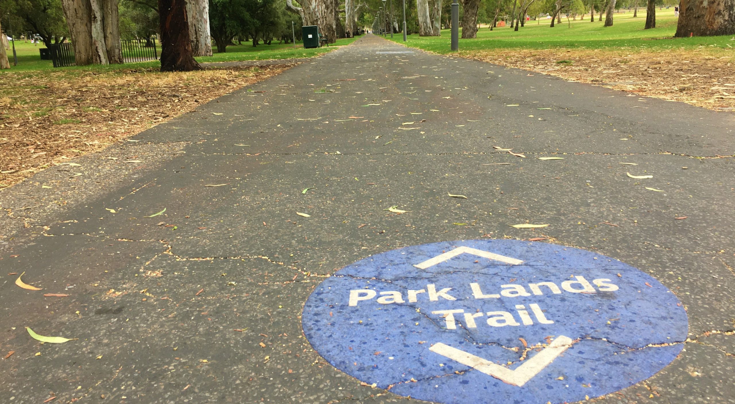 Park Lands Trail sign on pavement