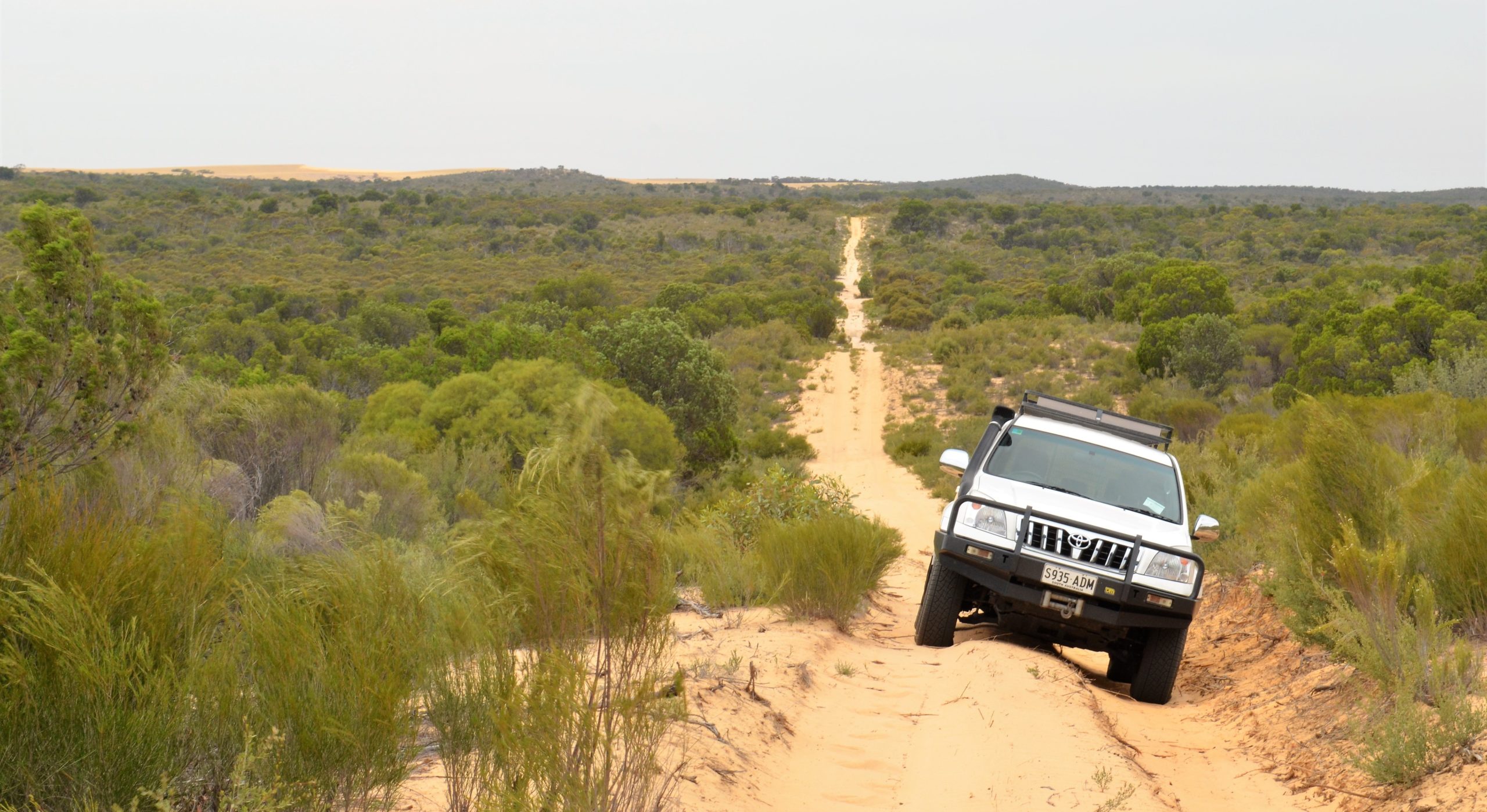 4WD in the dunes in Ngarkat Conservation Park