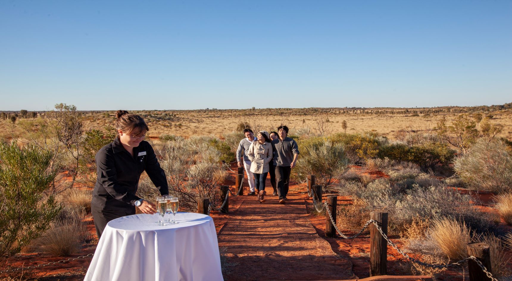 A night at the field of lights in Uluru