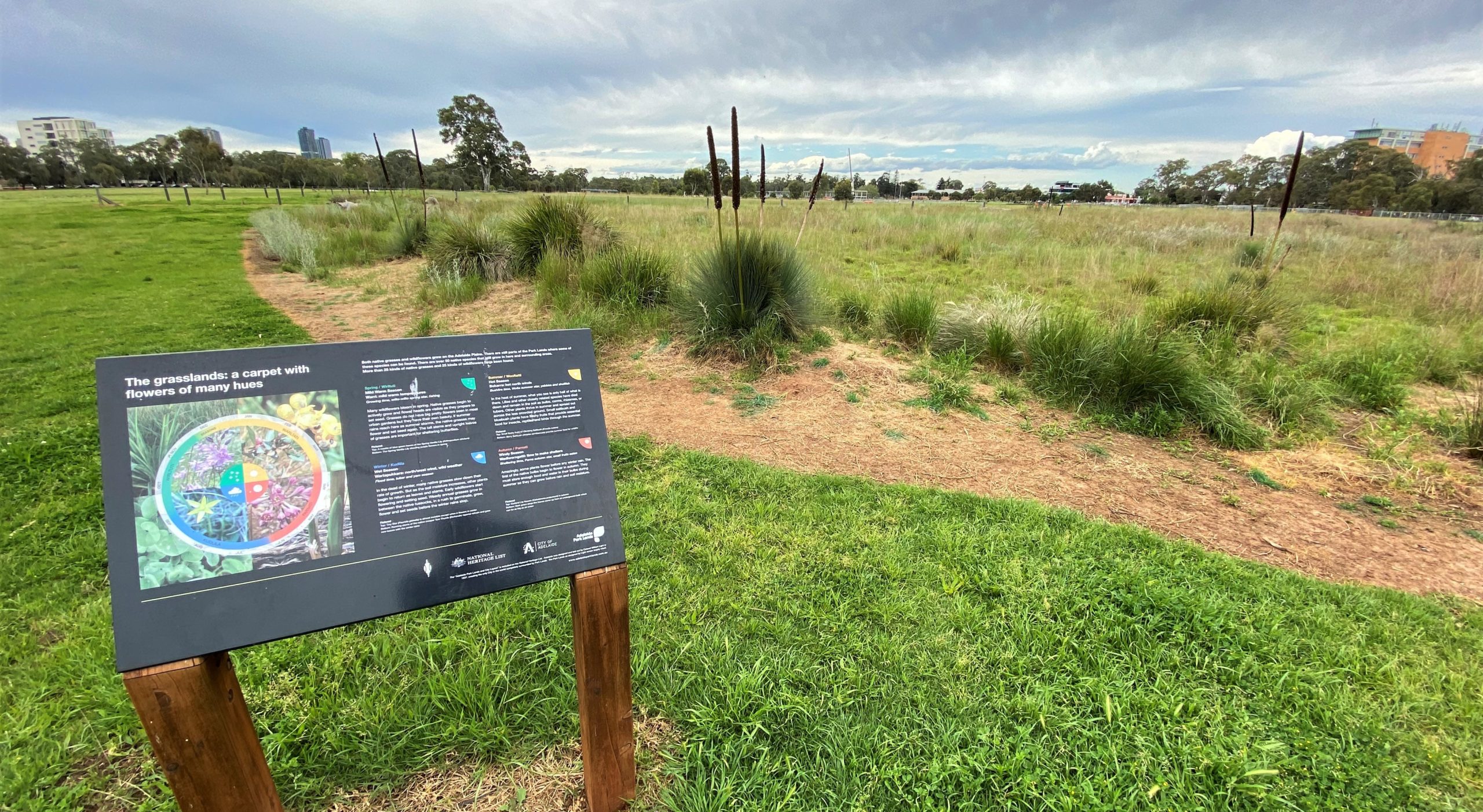 Five lesser-known features of the Adelaide Park Lands 