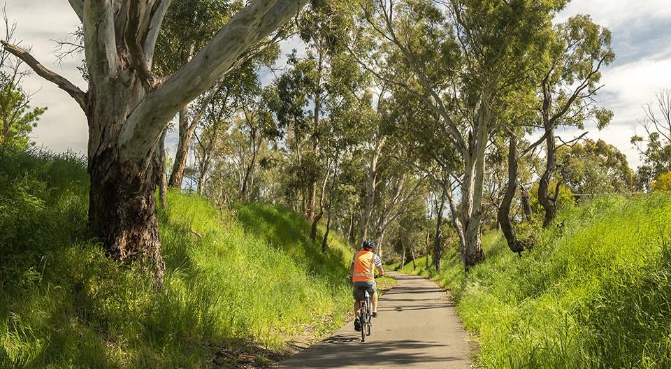 Riding the Amy Gillett Bikeway