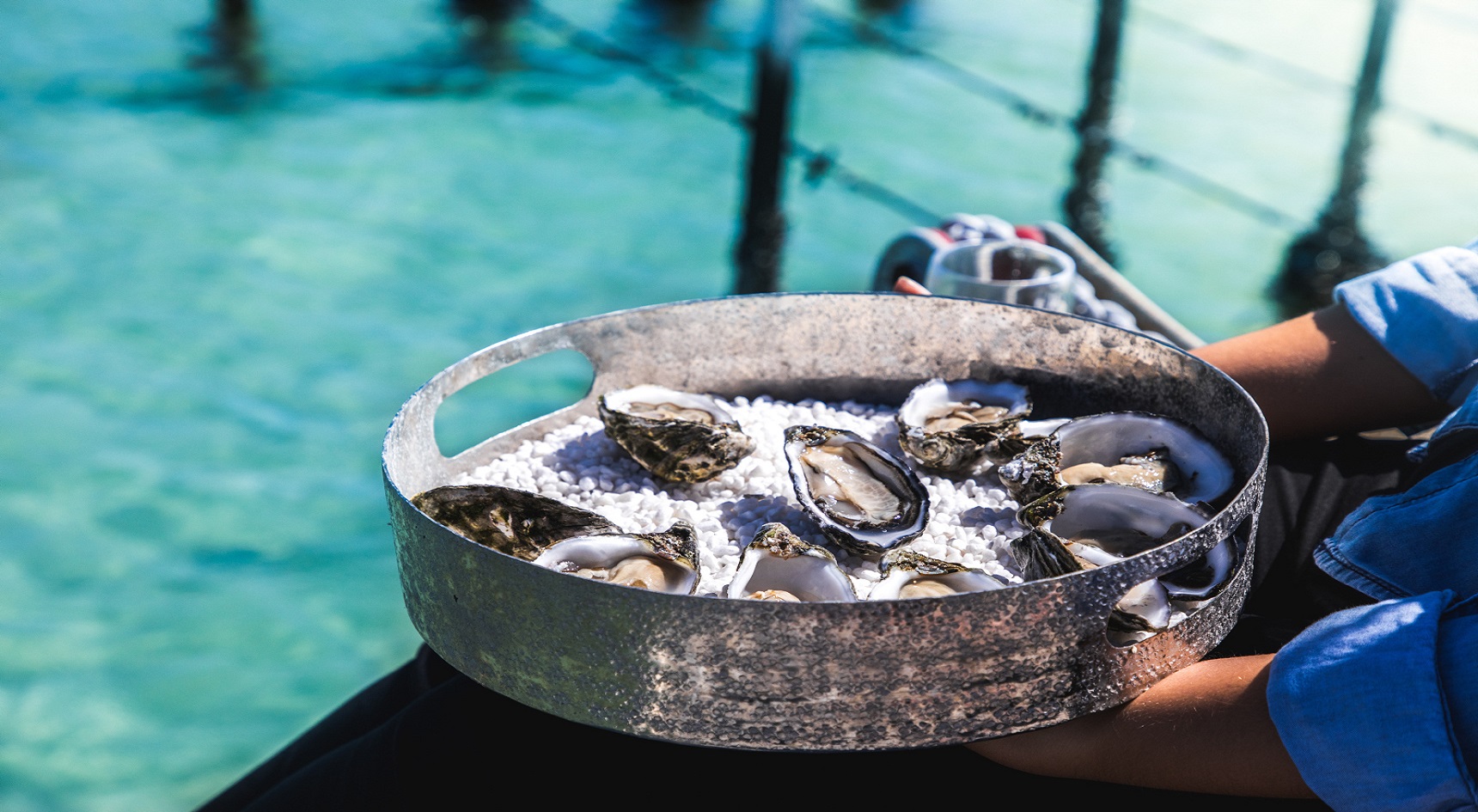 A tray of oysters.