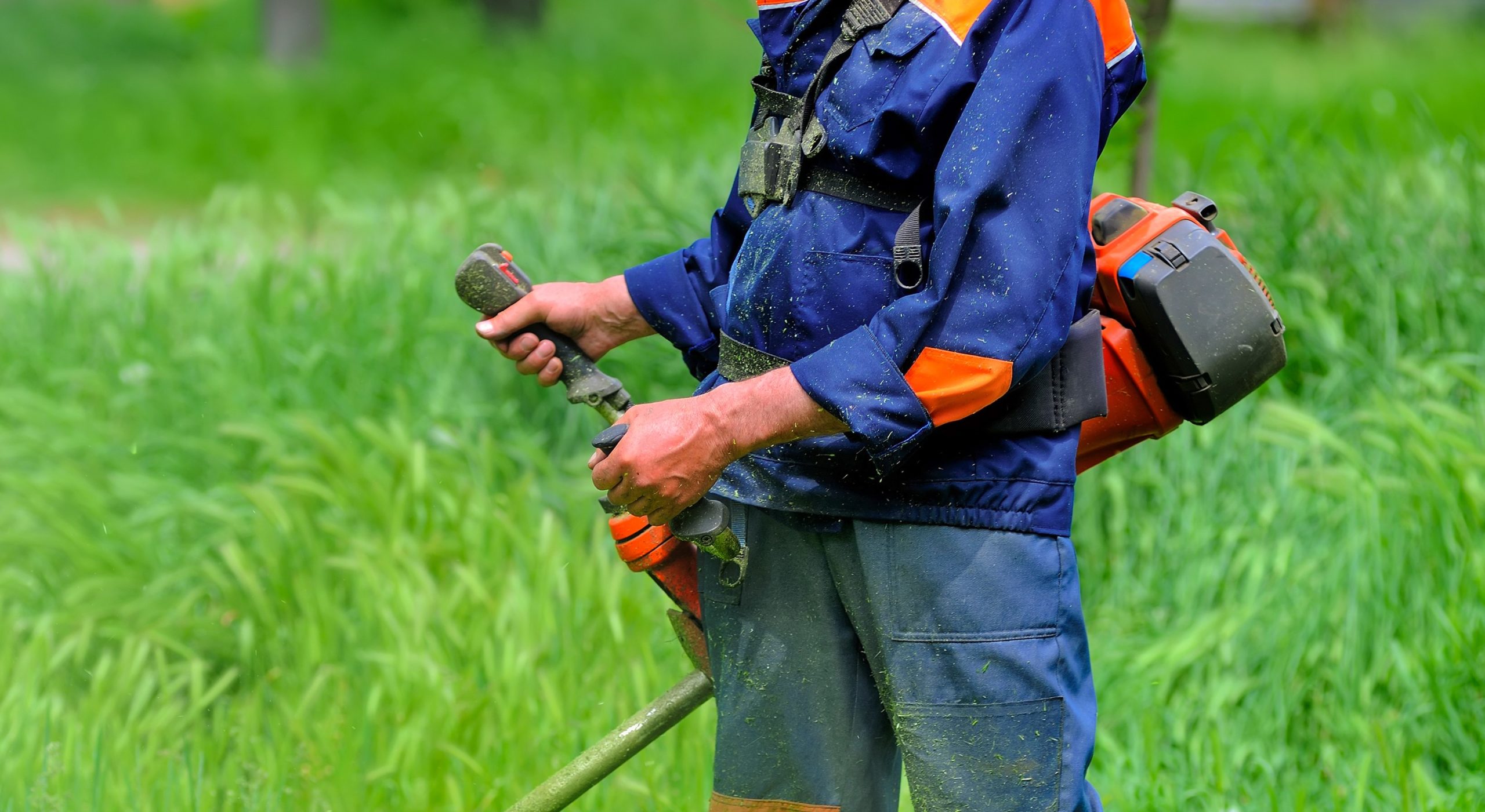 Whippersnipping grass