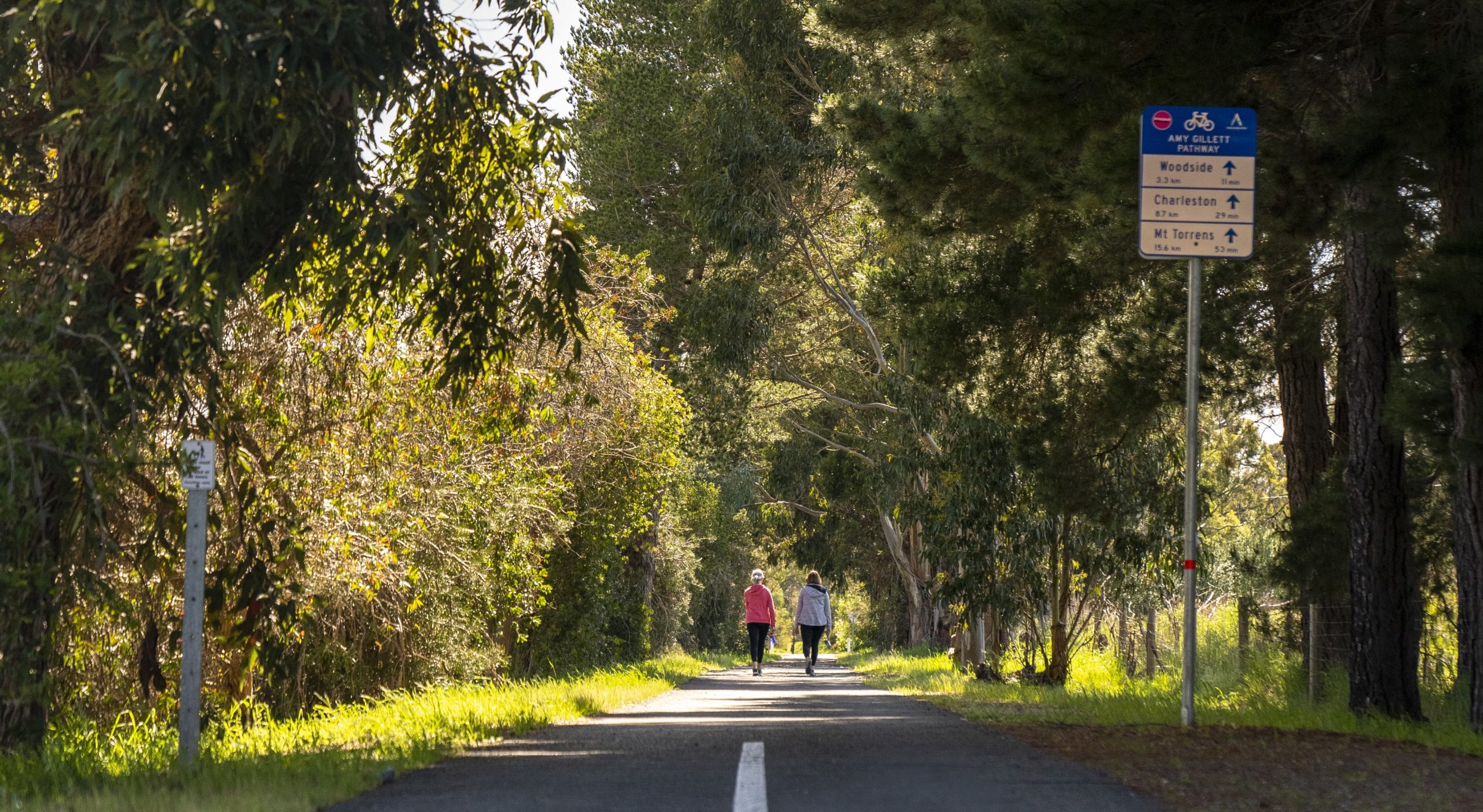 Walkers on pathway