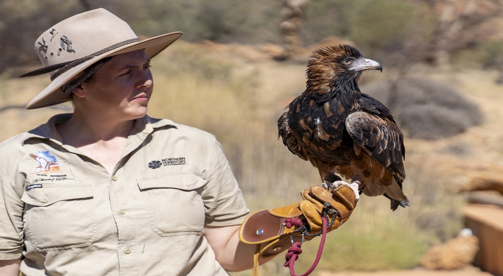 Ranger holding a wedge-tailed eagle.
