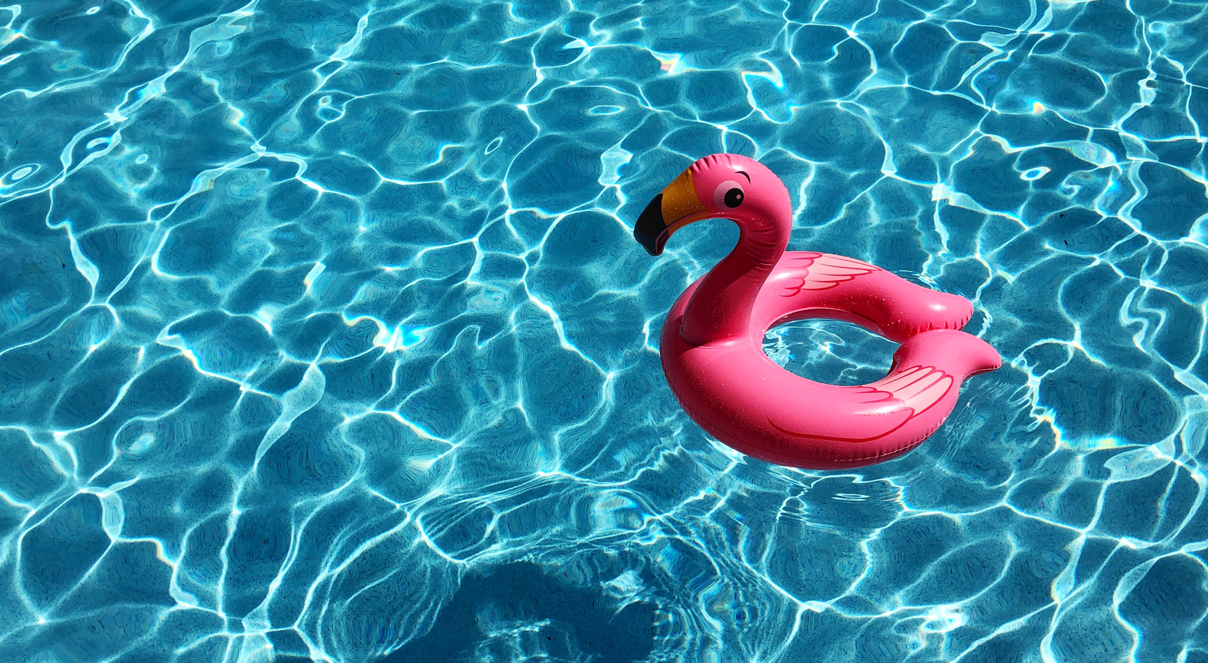 An Inflateable pool flamingo in a pool.