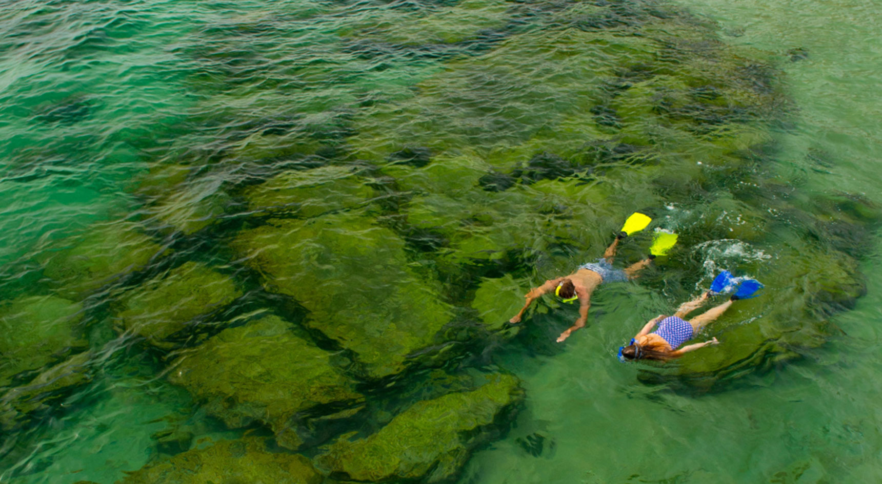 Snorkel Port Norlunga Reef