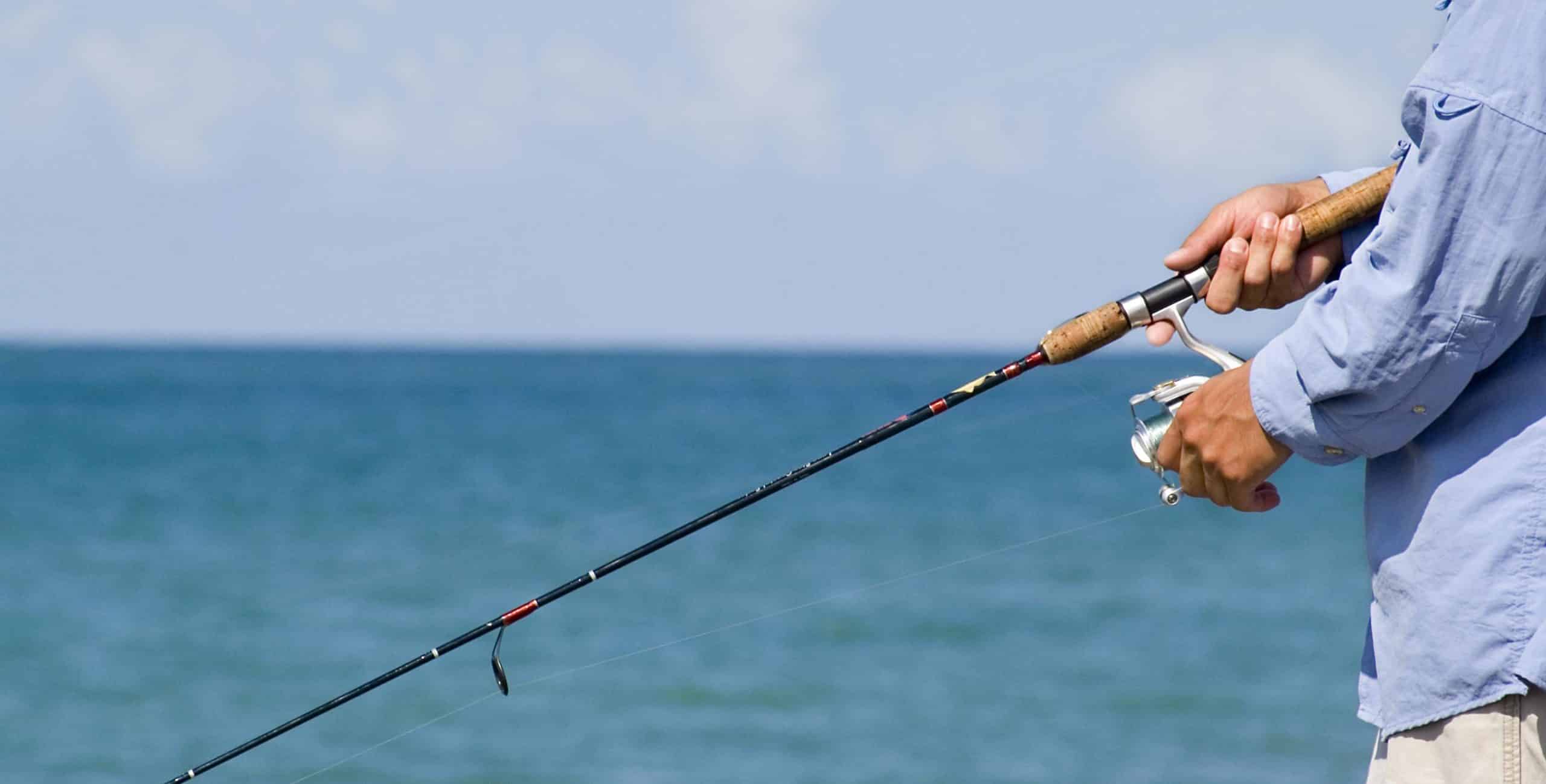 5 places to catch squid in SA | sa move The RAA Magazine