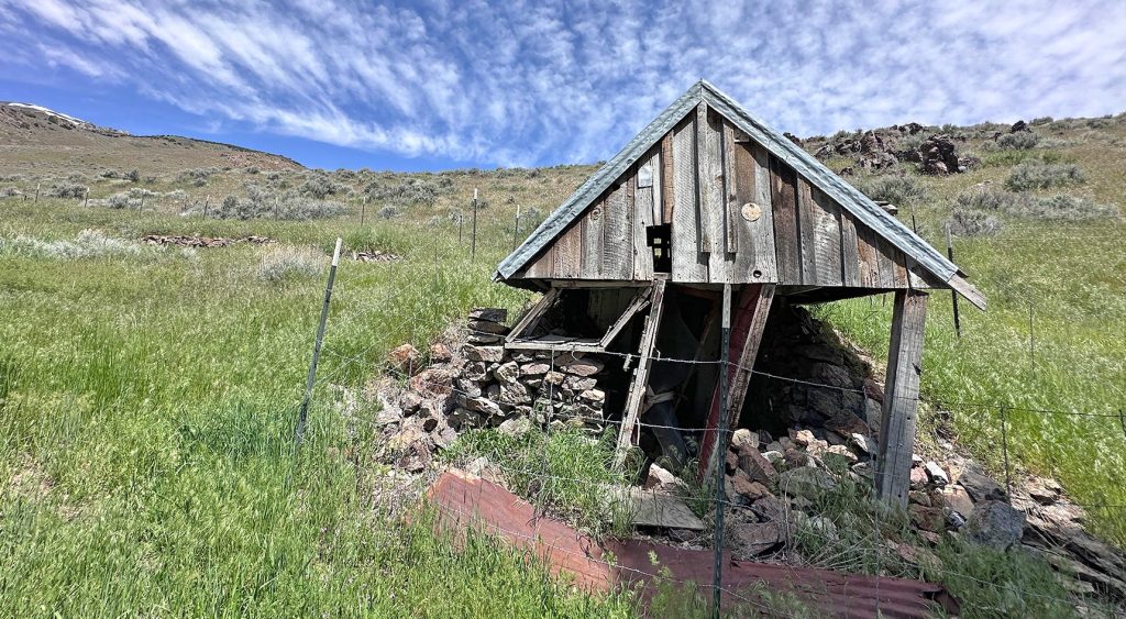 Dilapidated cabin sitting in tall green grass against blue sky.