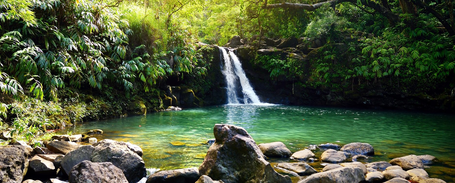 Tropical waterfall gushes down in Hawaii.