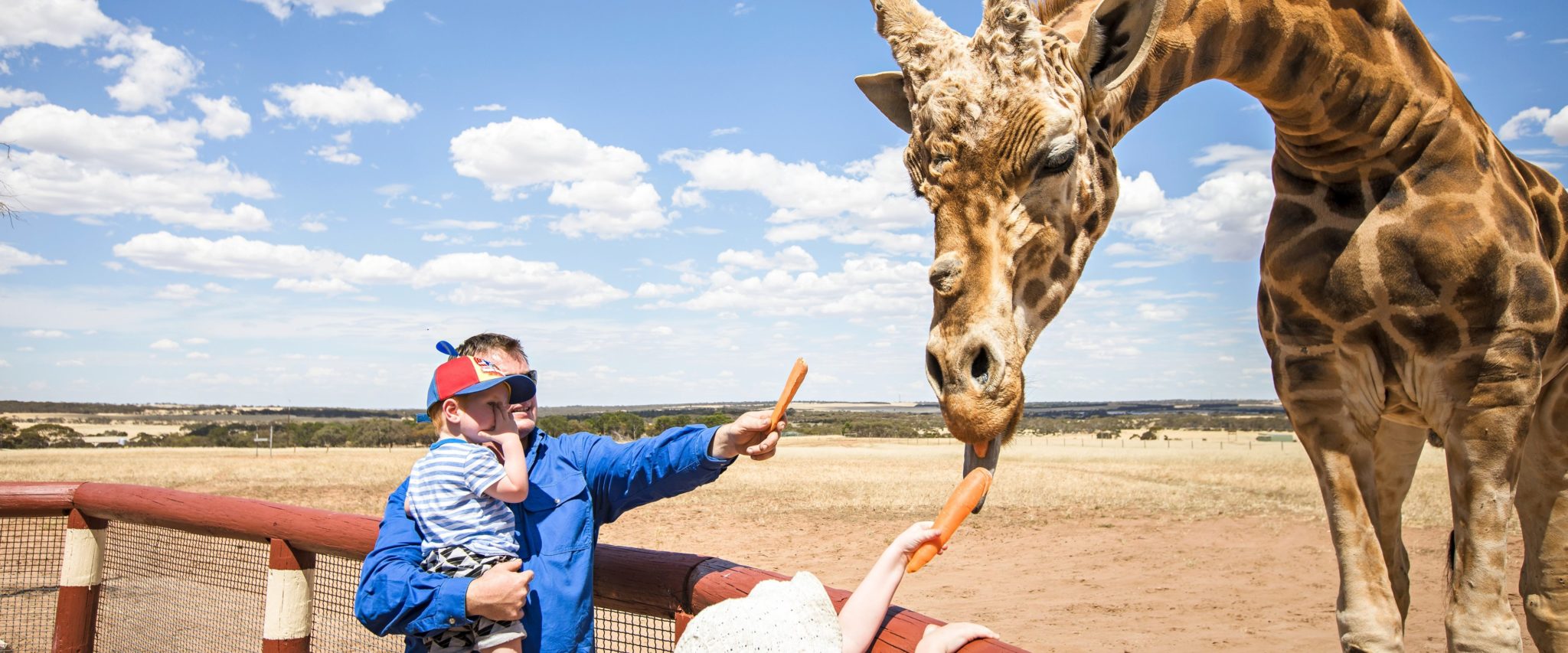 Giraffe feeding is just one of Monatro's immersive experiences. Image: SATC.