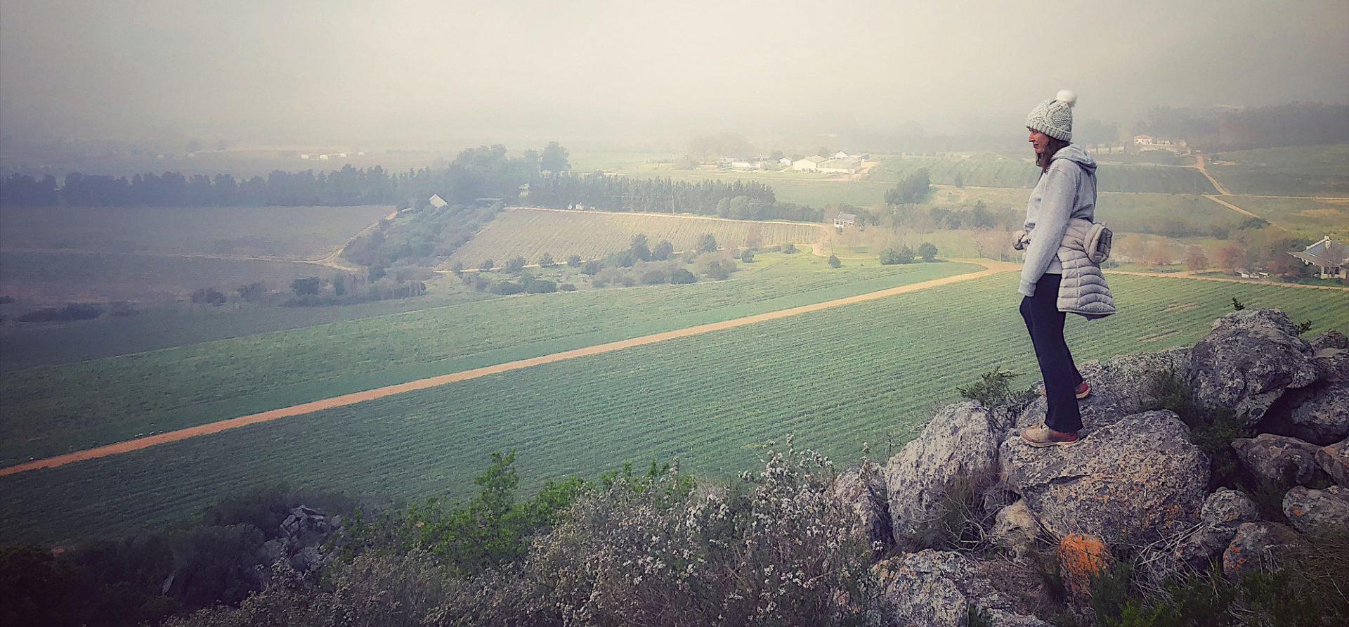 Winemaker looking down from a rocky outcrop towards resting vineyard in winter.