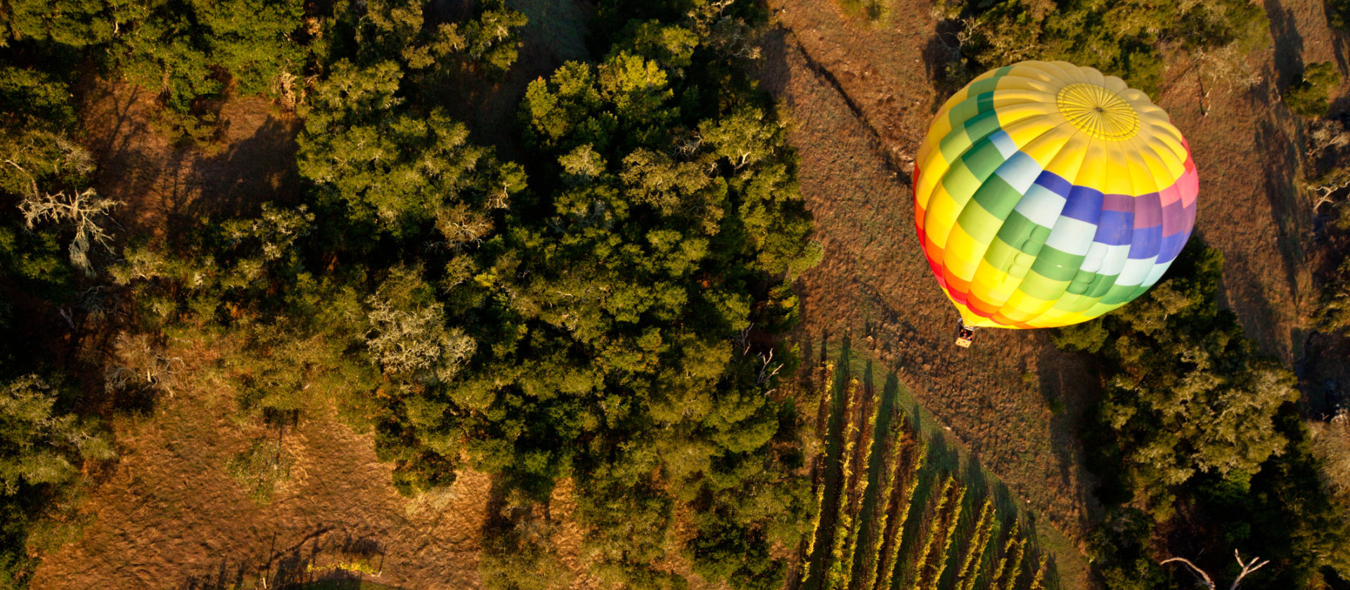 Hot air ballooning over Napa Valley winery.