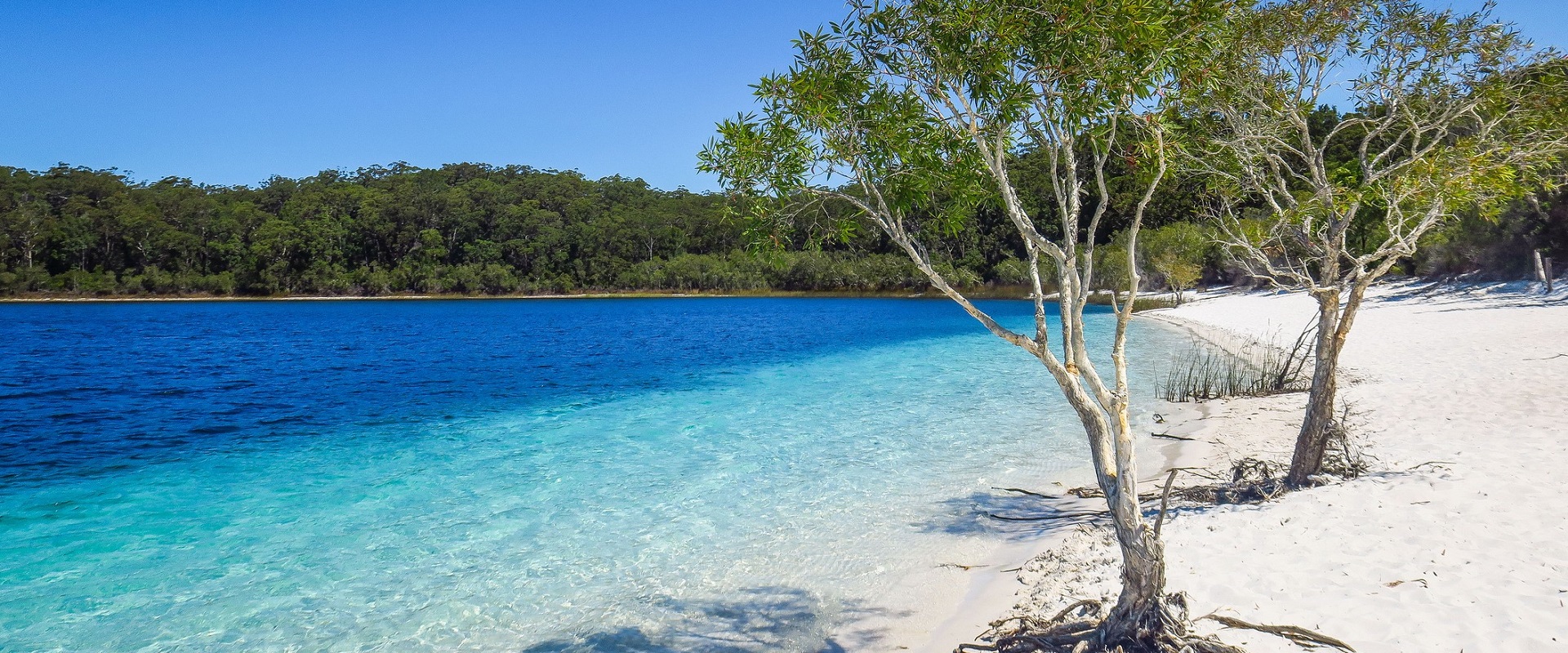 The clear blue waters of Fraser Island. Image: Getty